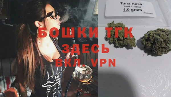 гидропоника Белокуриха